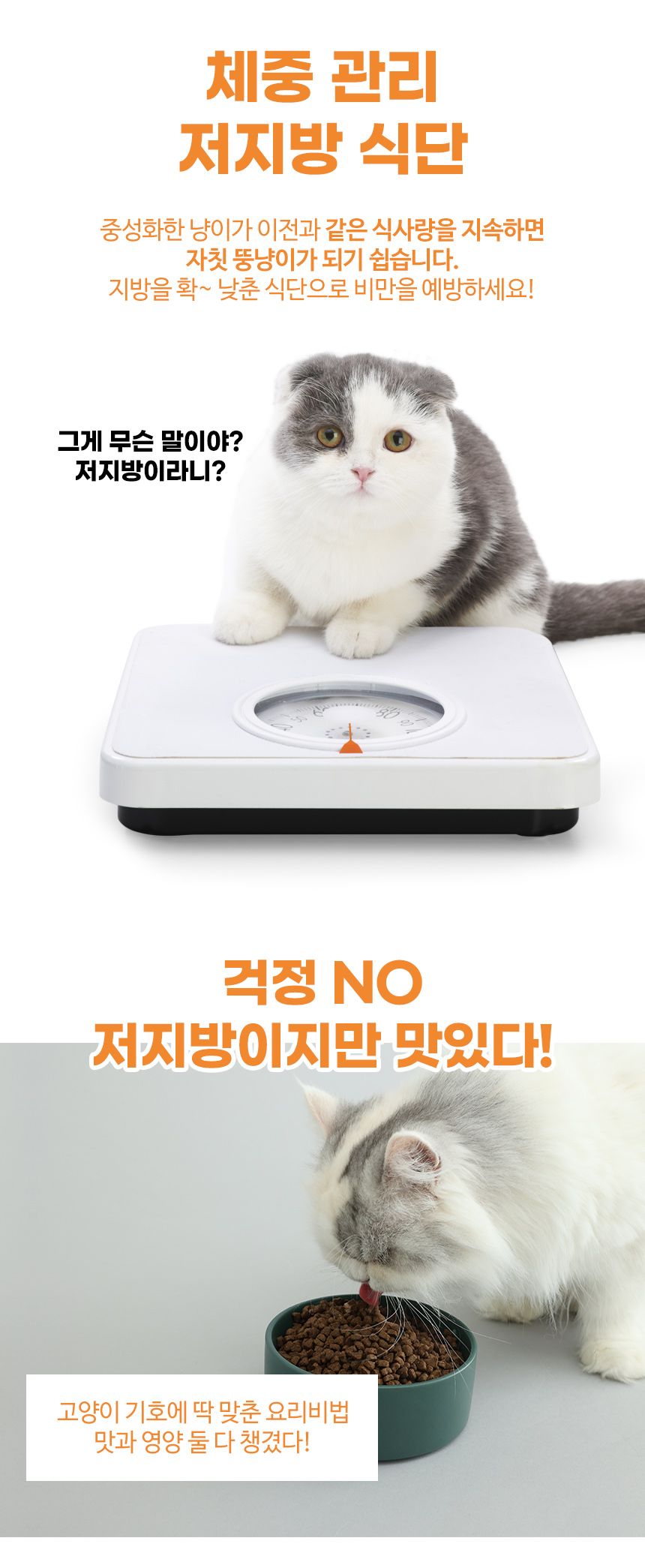 브리젠 캣 어덜트 치킨 1.36kg 35번째