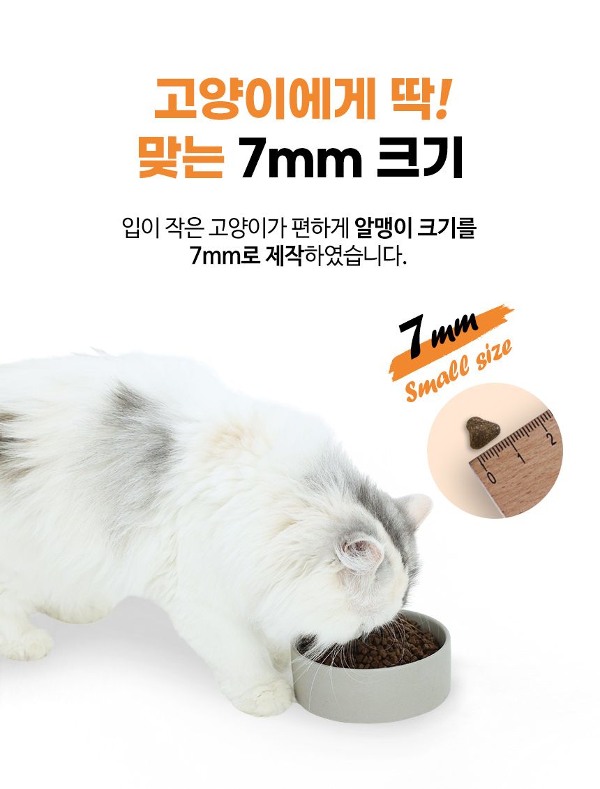 브리젠 캣 어덜트 치킨 1.36kg 33번째