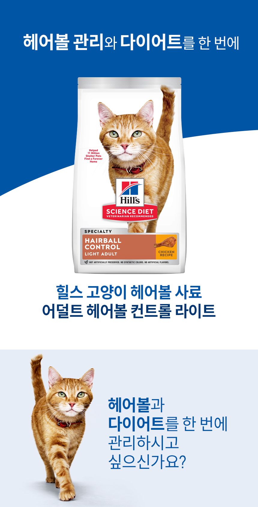 [심쿵펫페어][추가증정] 힐스 캣 어덜트 헤어볼 컨트롤 라이트 3.2kg + 어덜트 유리너리 헤어볼 컨트롤 스튜 82g 증정 1번째