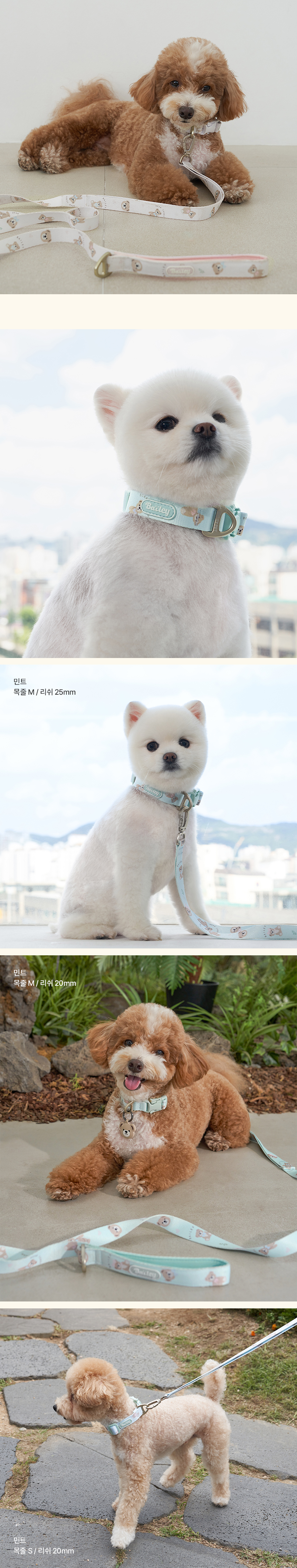[NEW신상][무료배송] 베일리펫 강아지 산책 초경량 웨빙 테디 워키 목줄 S-L (핑크/민트/아이보리) 5번째