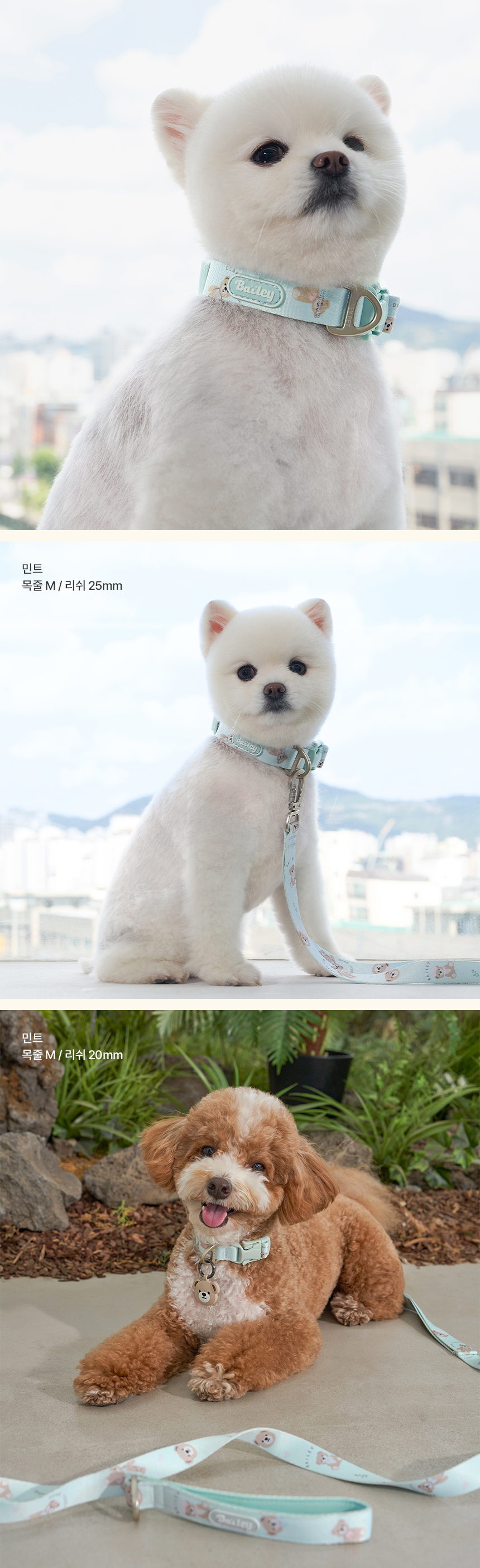 [NEW신상][무료배송] 베일리펫 강아지 산책 초경량 웨빙 테디 워키 목줄 S-L (핑크/민트/아이보리) 5번째