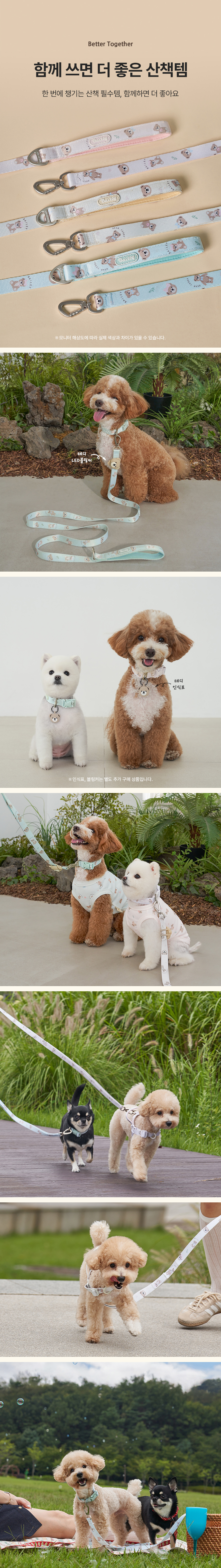 [NEW신상][무료배송] 베일리펫 강아지 산책 초경량 웨빙 테디 워키 목줄 S-L (핑크/민트/아이보리) 6번째
