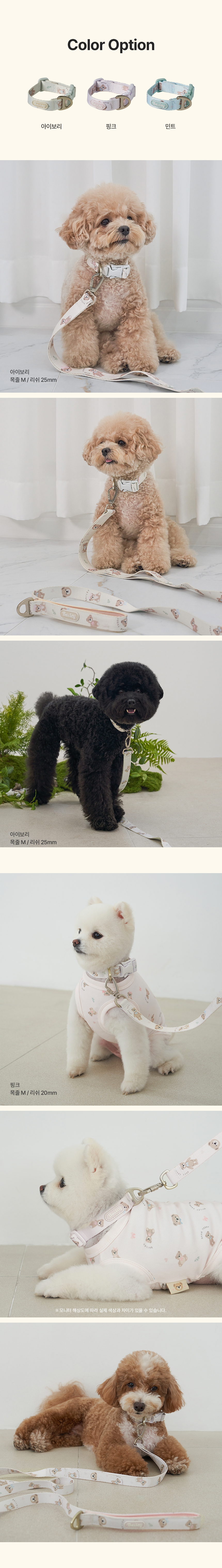 [NEW신상][무료배송] 베일리펫 강아지 산책 초경량 웨빙 테디 워키 목줄 S-L (핑크/민트/아이보리) 4번째