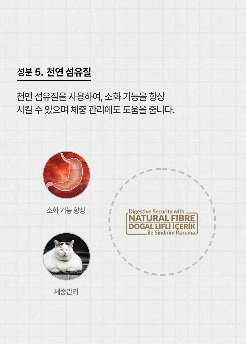 [무료배송] 리플렉스 플러스 캣 안티헤어볼 연어 1.5kg 22번째