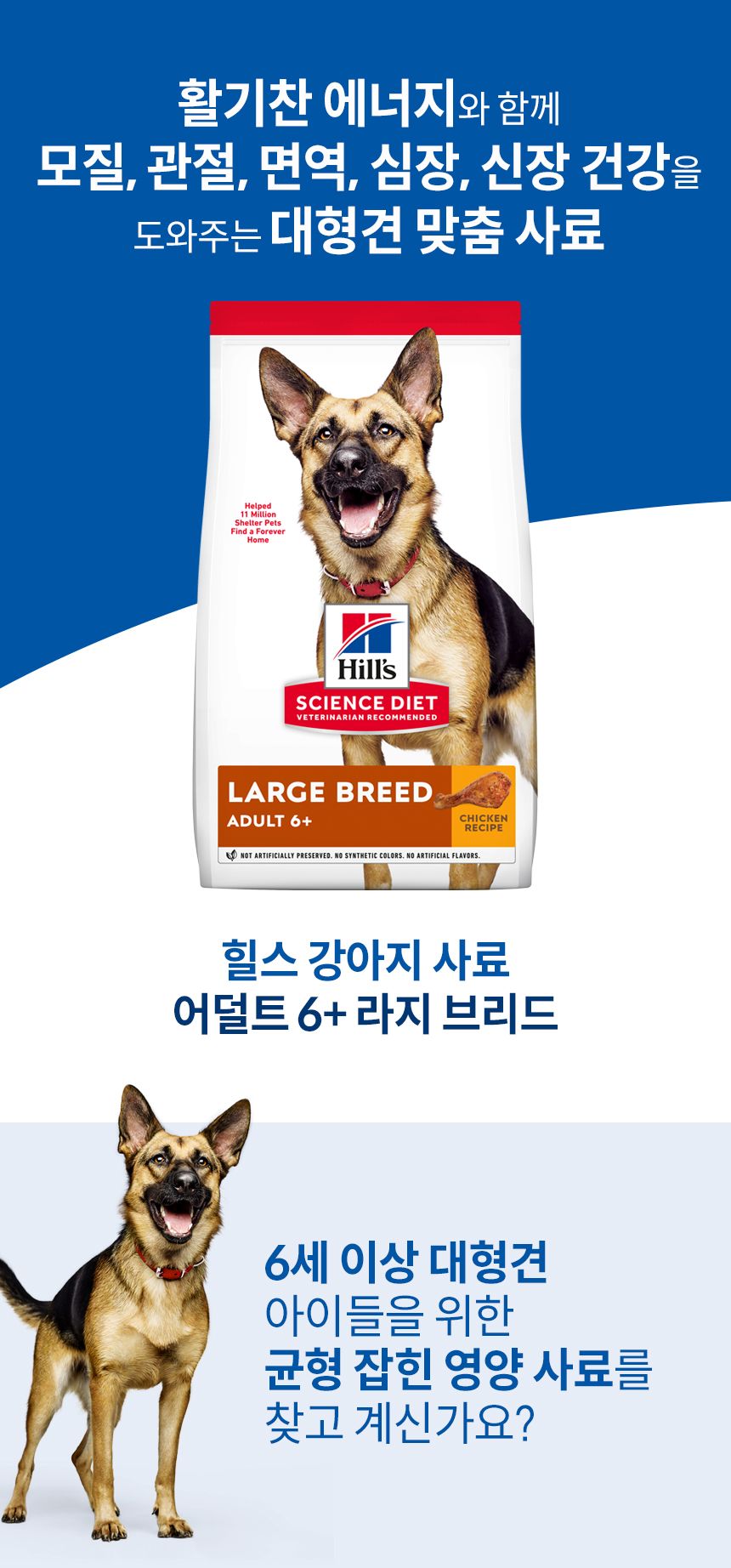 힐스 독 어덜트 6+ 라지브리드 치킨 모음 1번째