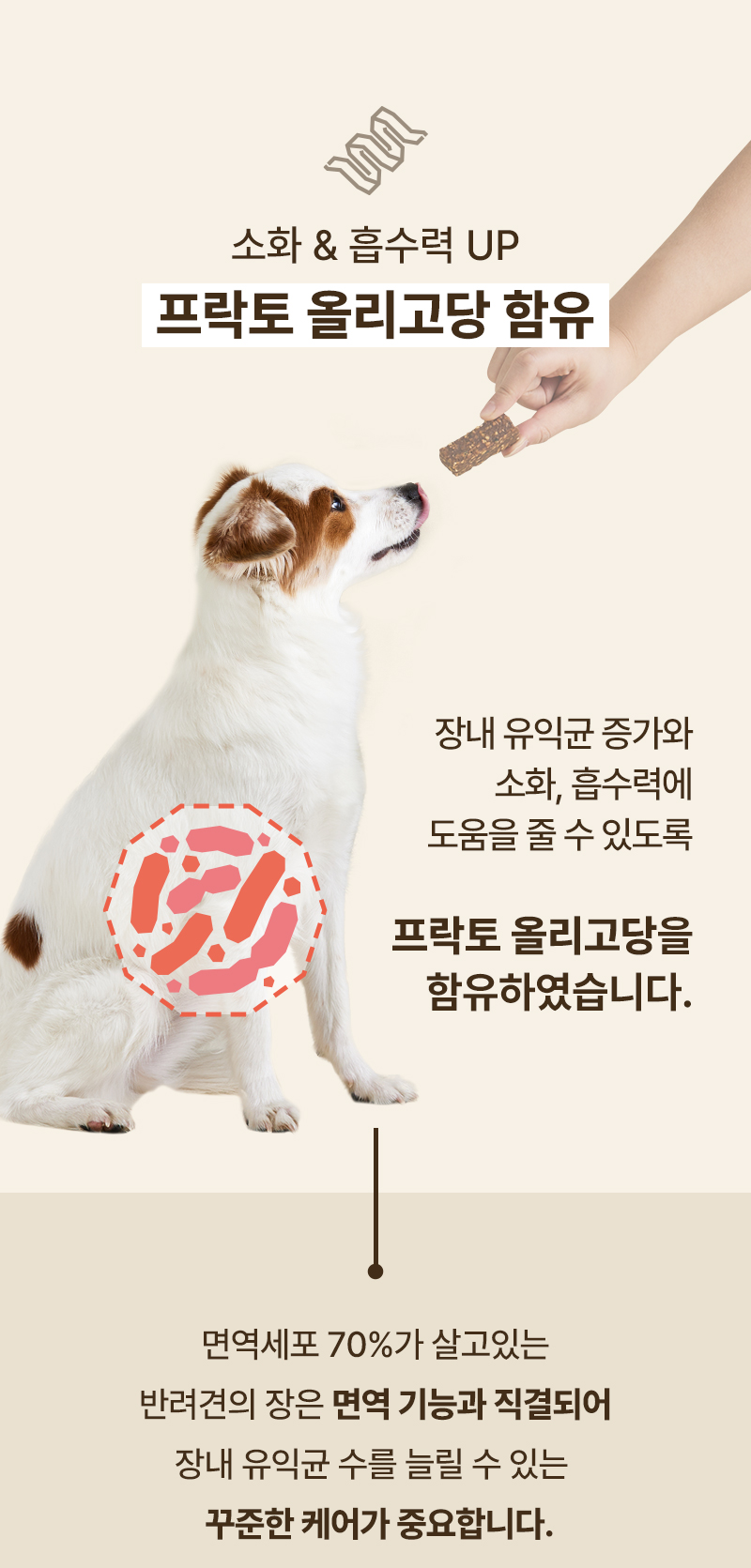 [무료배송] 피피픽 독 댕댕바 프로틴 미니 연어 14p 6번째