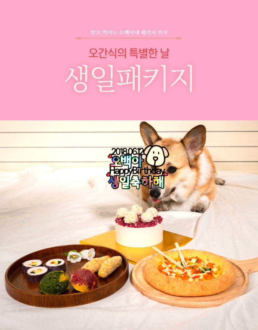 [무료배송] [냉동/냉장] 오간식 독 생일파티 패키지  11번째