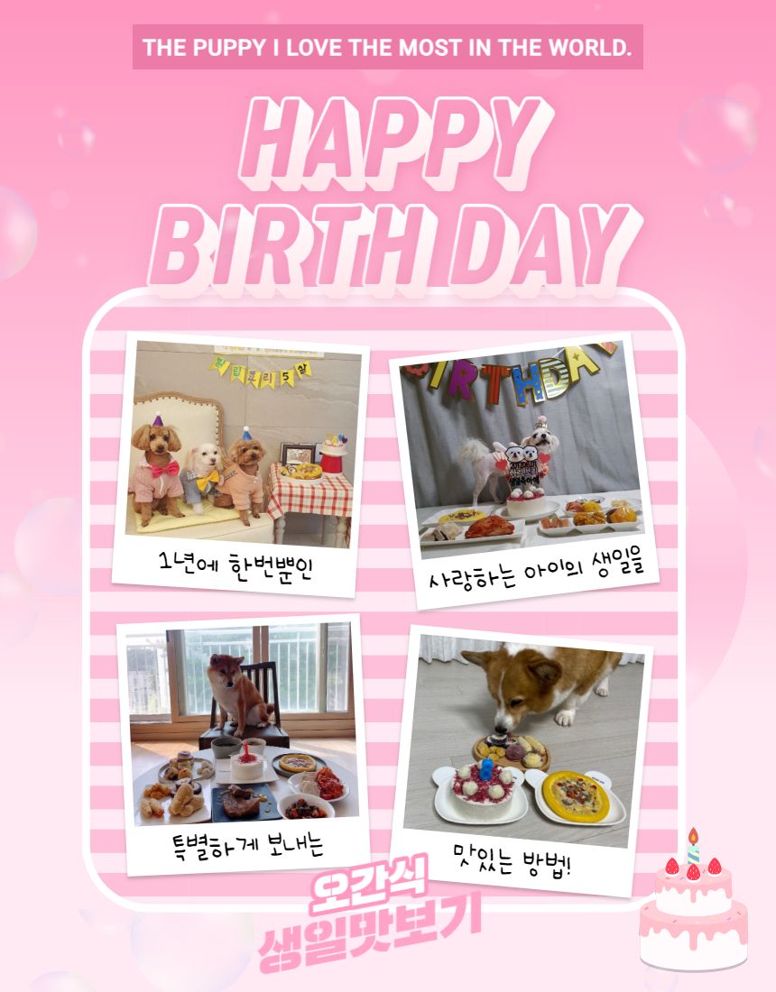 [무료배송] [냉동/냉장] 오간식 독 생일파티 패키지  2번째