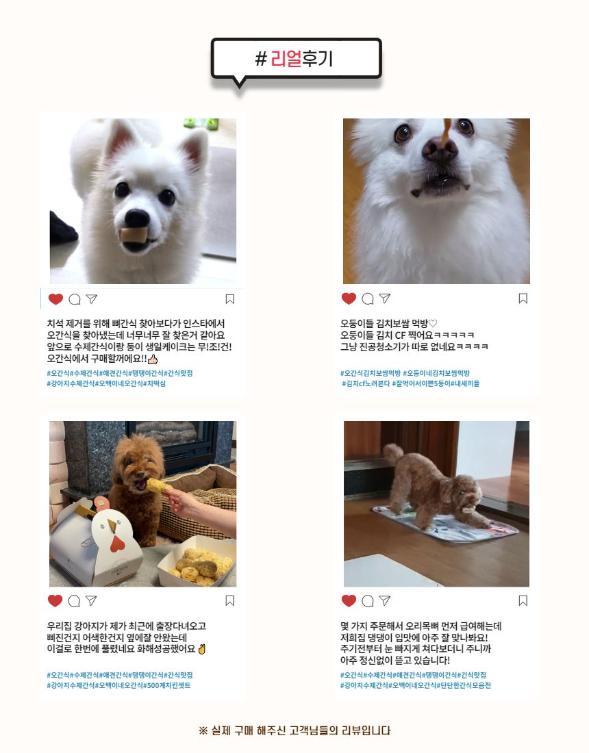 [무료배송] [냉동/냉장] 오간식 독 생일파티 패키지  9번째