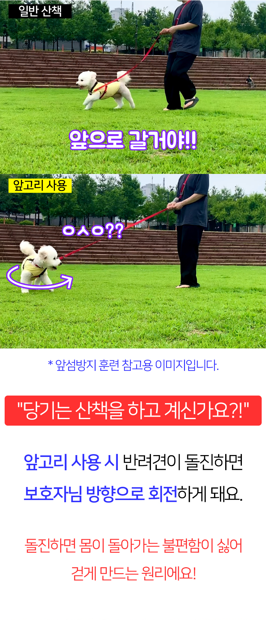 [무료배송] 멍템 방수 하네스 리드줄 2m 세트 8번째