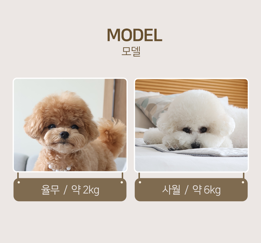 [무료배송] 엔터 펫하우스 16번째