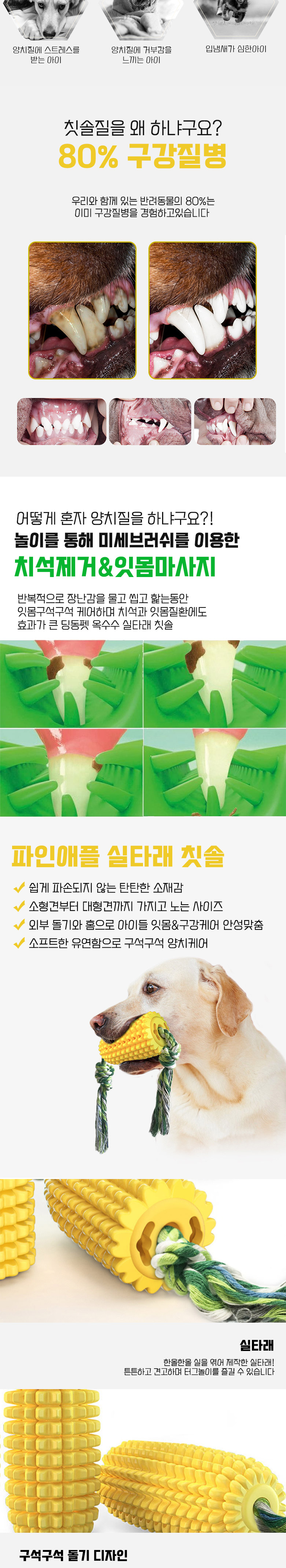 [무료배송] 딩동펫 강아지 파인애플 실타래 칫솔 2번째