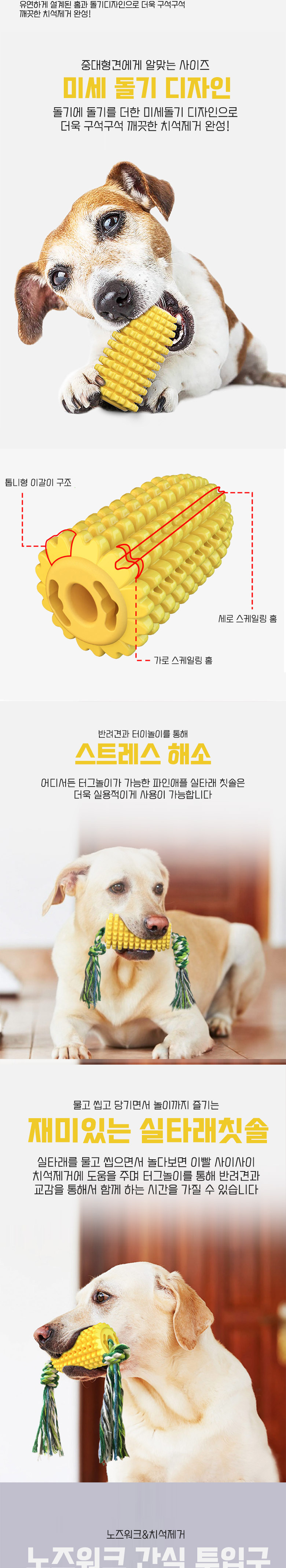 [무료배송] 딩동펫 강아지 파인애플 실타래 칫솔 3번째