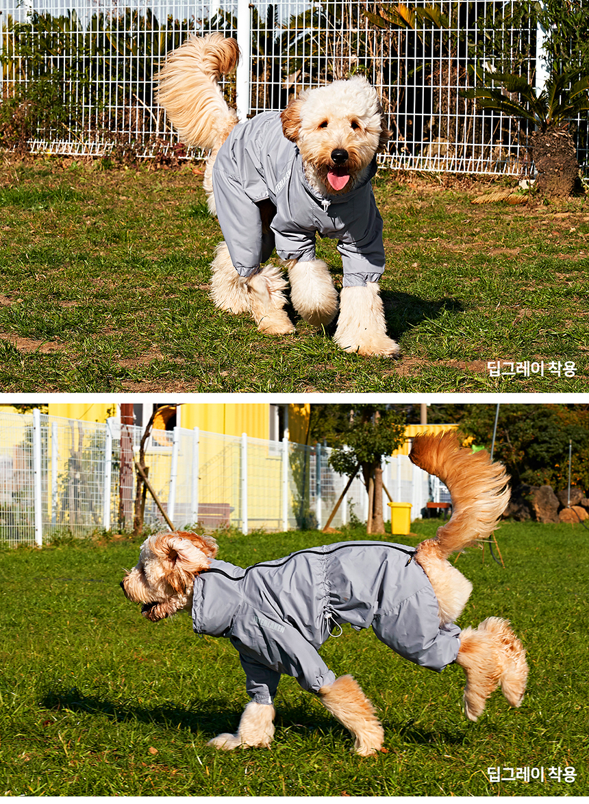 [무료배송] 니즈더펫 인터라켄 강아지 올인원 바람막이 S-6XL 22번째
