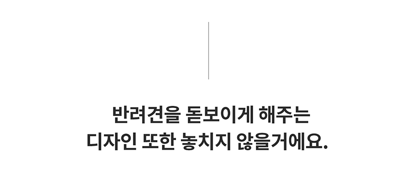 [무료배송] 니즈더펫 인터라켄 강아지 올인원 바람막이 S-6XL 39번째