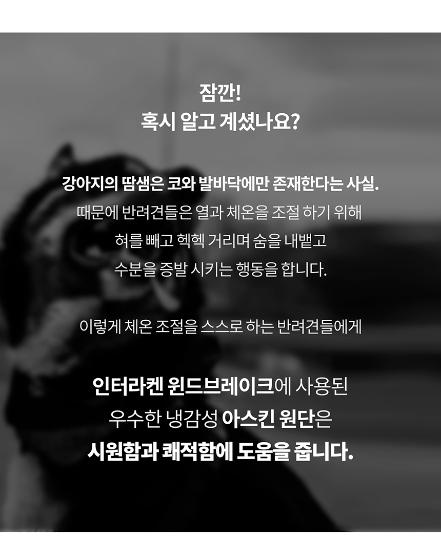 [무료배송] 니즈더펫 인터라켄 강아지 올인원 바람막이 S-6XL 16번째
