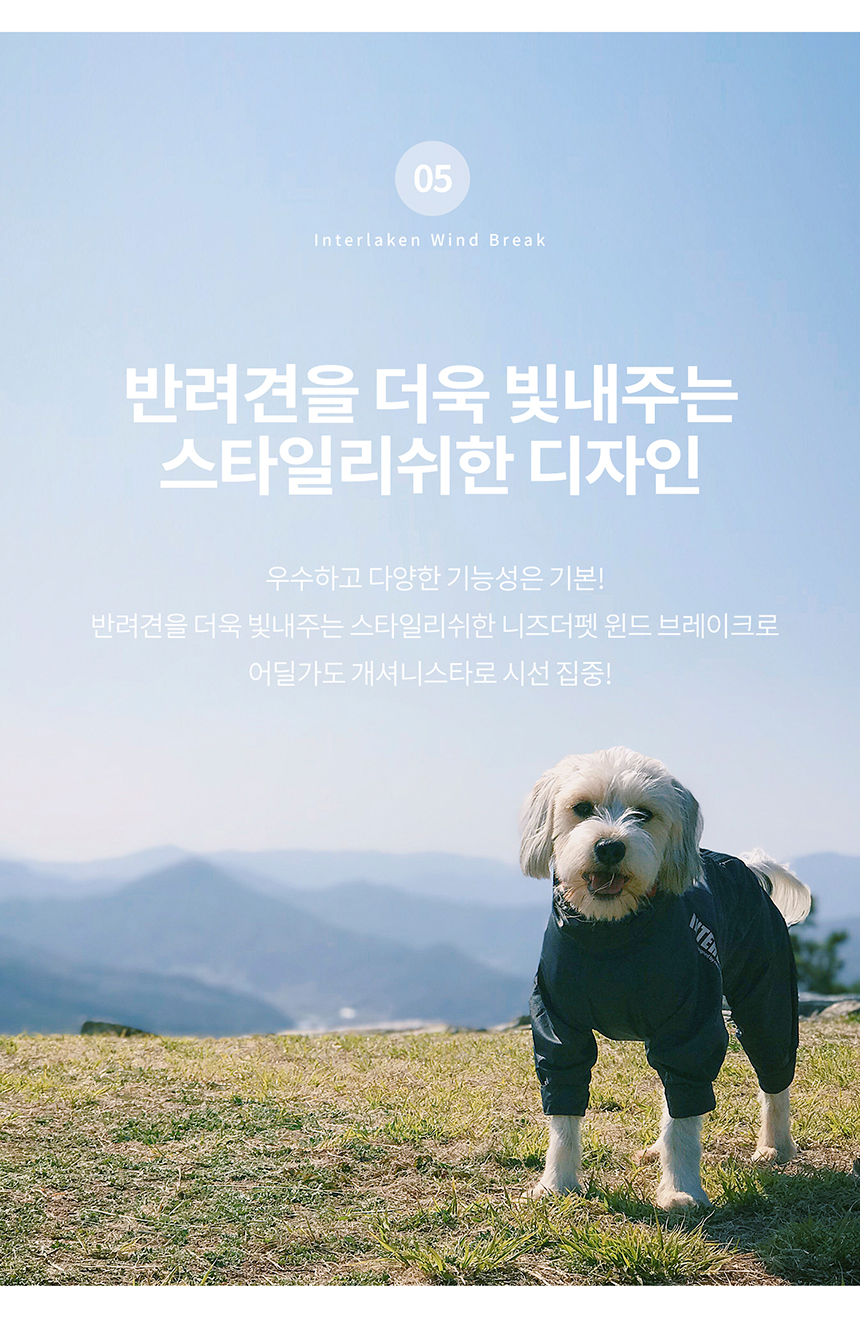 [무료배송] 니즈더펫 인터라켄 강아지 올인원 바람막이 S-6XL 41번째