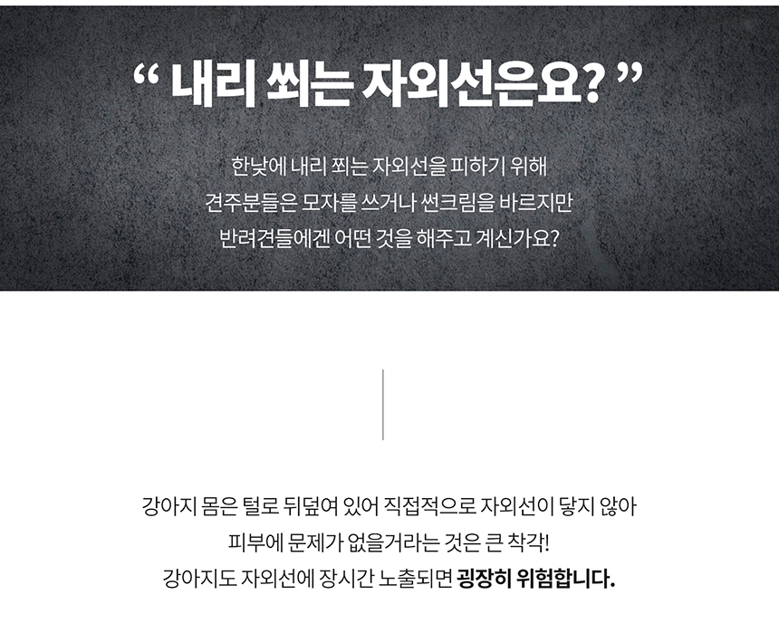 [무료배송] 니즈더펫 인터라켄 강아지 올인원 바람막이 S-6XL 23번째