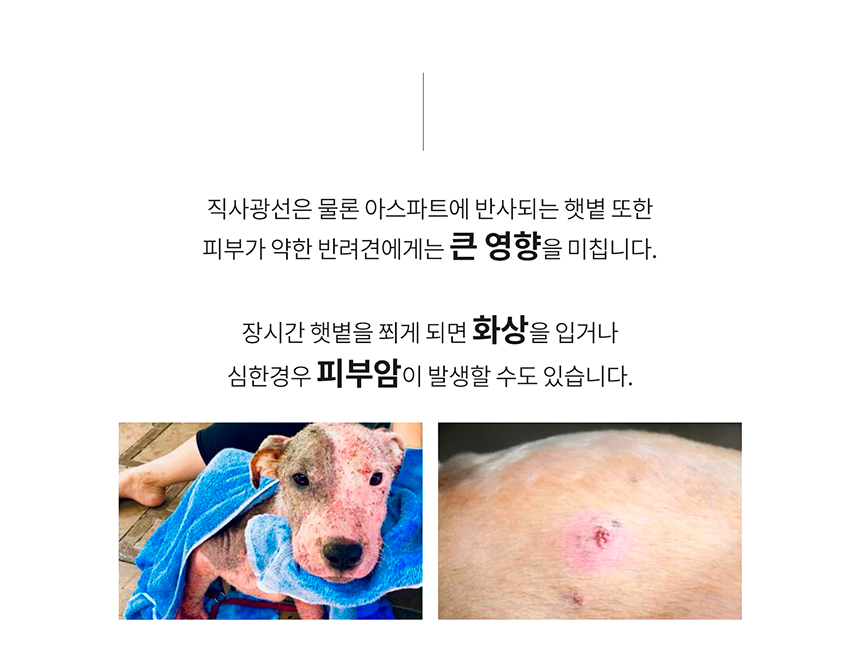 [무료배송] 니즈더펫 인터라켄 강아지 올인원 바람막이 S-6XL 25번째
