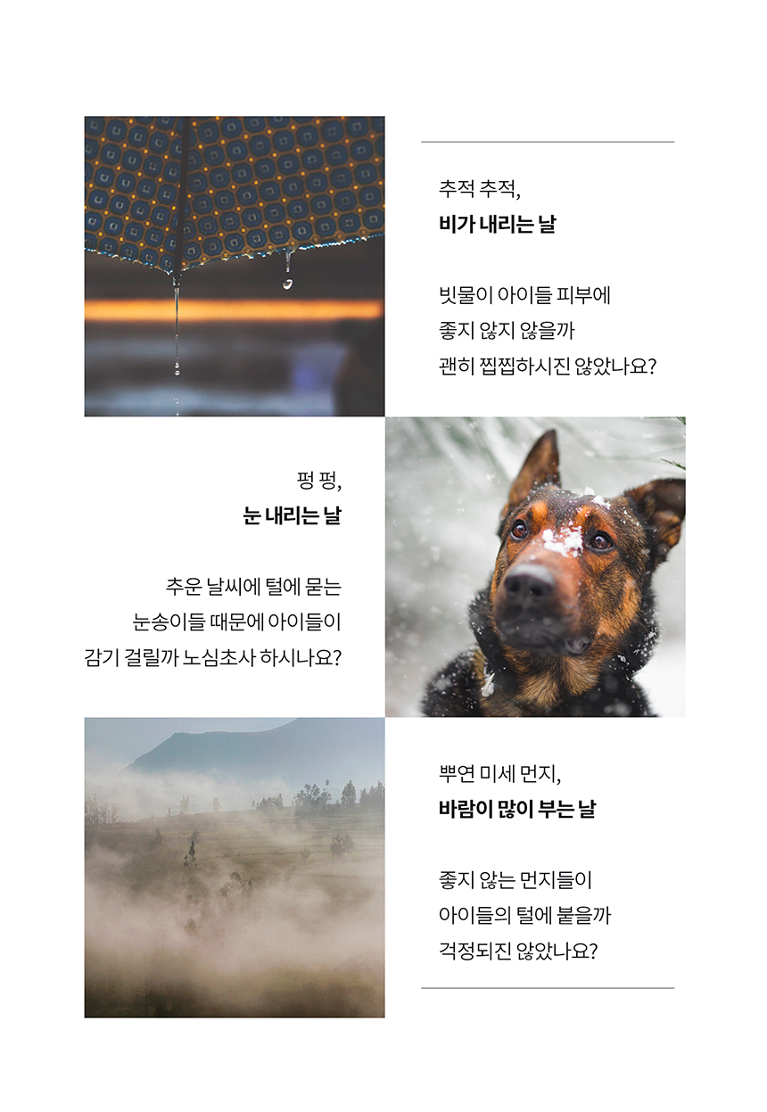 [무료배송] 니즈더펫 인터라켄 강아지 올인원 바람막이 S-6XL 5번째