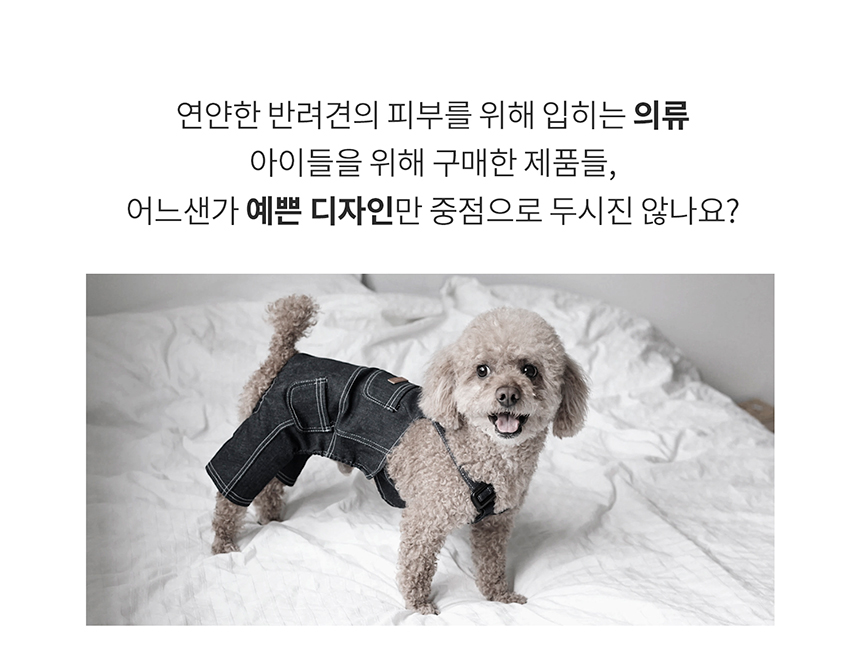 [무료배송] 니즈더펫 인터라켄 강아지 올인원 바람막이 S-6XL 35번째
