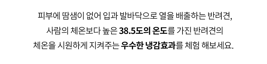 [무료배송] 니즈더펫 인터라켄 강아지 올인원 바람막이 S-6XL 9번째
