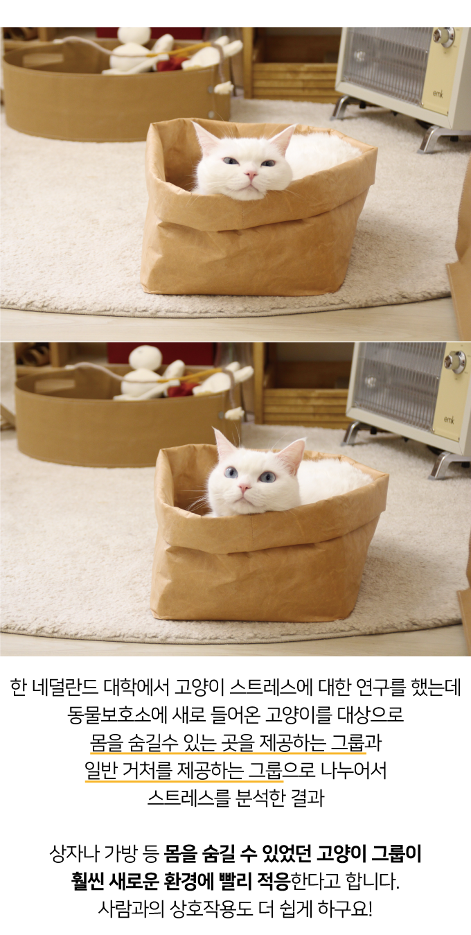 집에가야돼 타이벡 빵봉투 바스켓 5번째