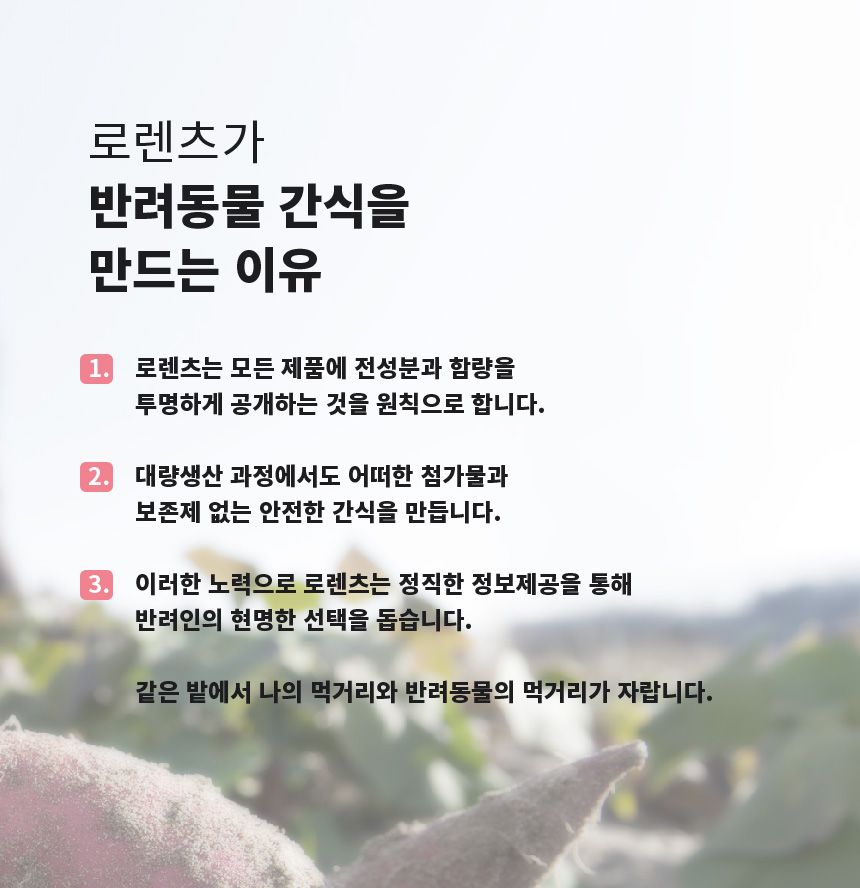 로렌츠 독 못난이채소껌 20g*21p 12번째