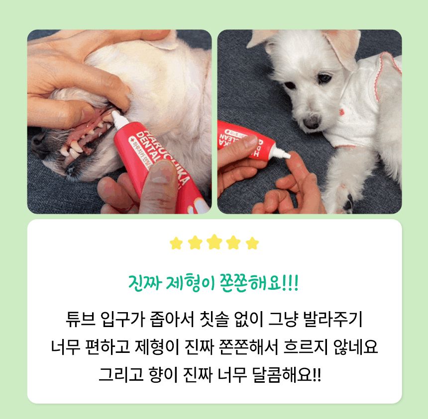 펫생각 하루치카 덴탈클린 메론향 60g 8번째