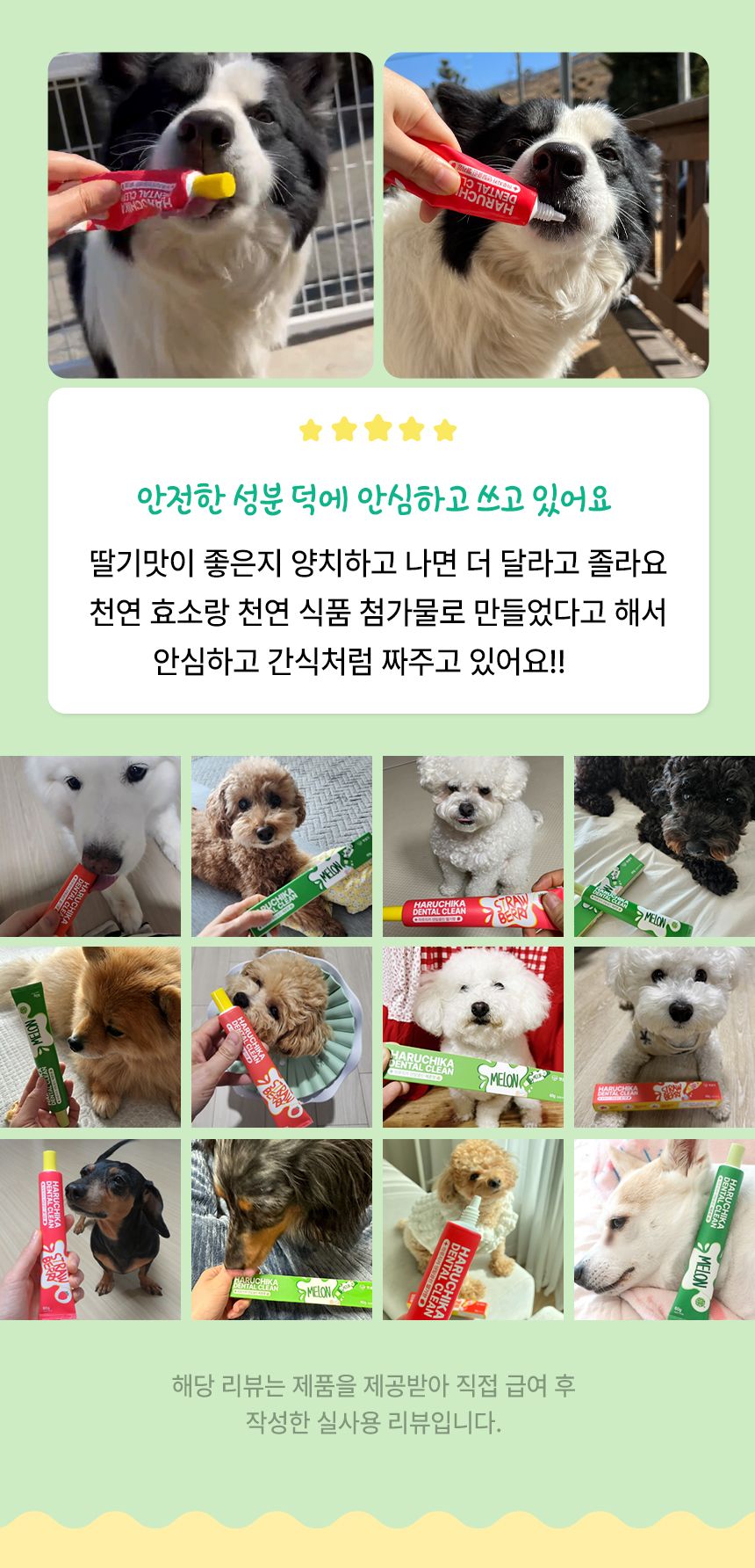펫생각 하루치카 덴탈클린 메론향 60g 10번째