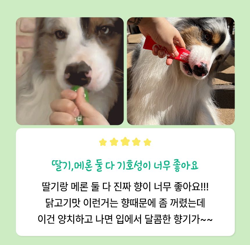 펫생각 하루치카 덴탈클린 메론향 60g 9번째