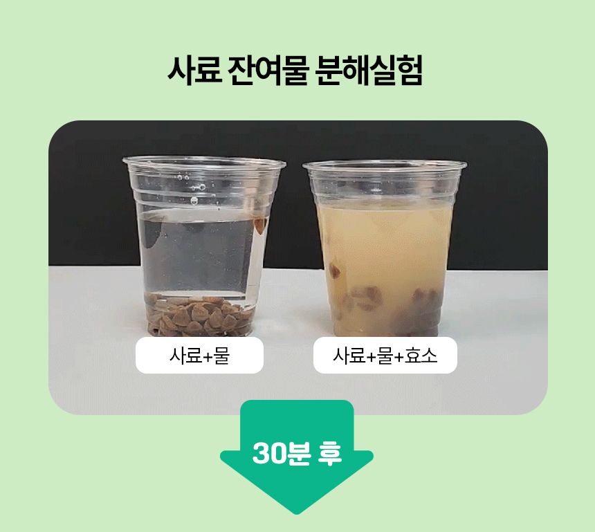 펫생각 하루치카 덴탈클린 메론향 60g 15번째