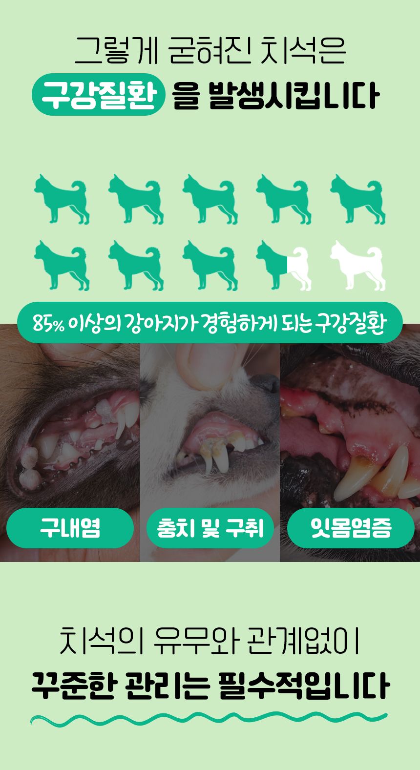 펫생각 하루치카 덴탈클린 메론향 60g 12번째