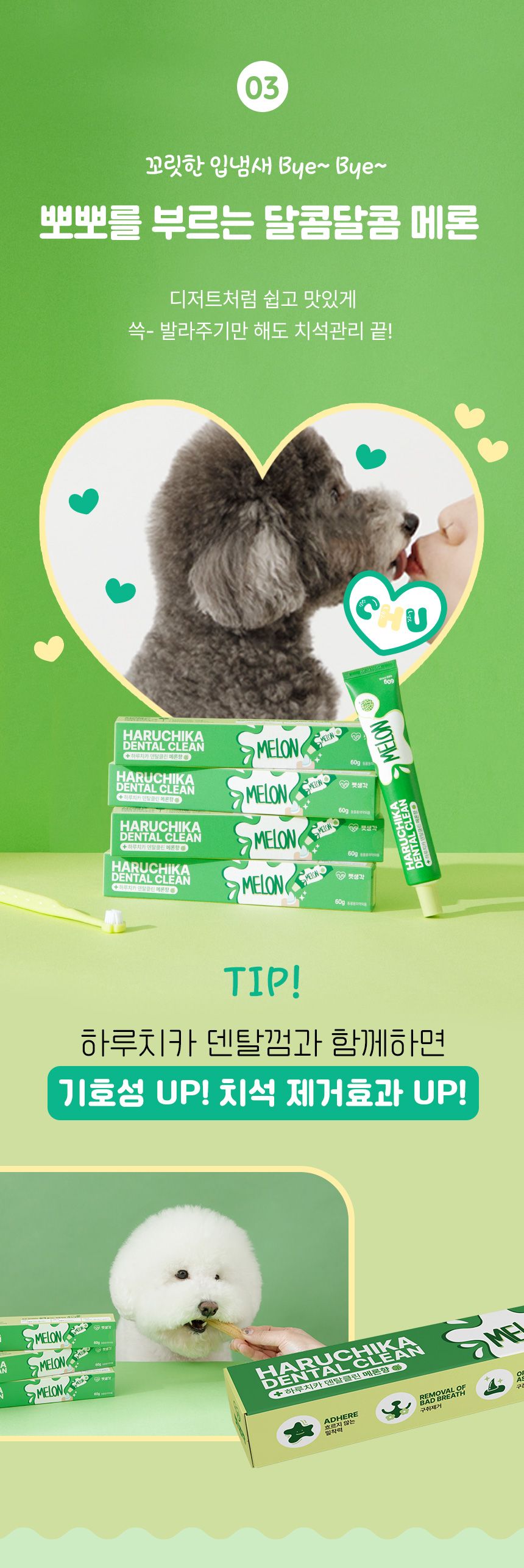 펫생각 하루치카 덴탈클린 메론향 60g 17번째