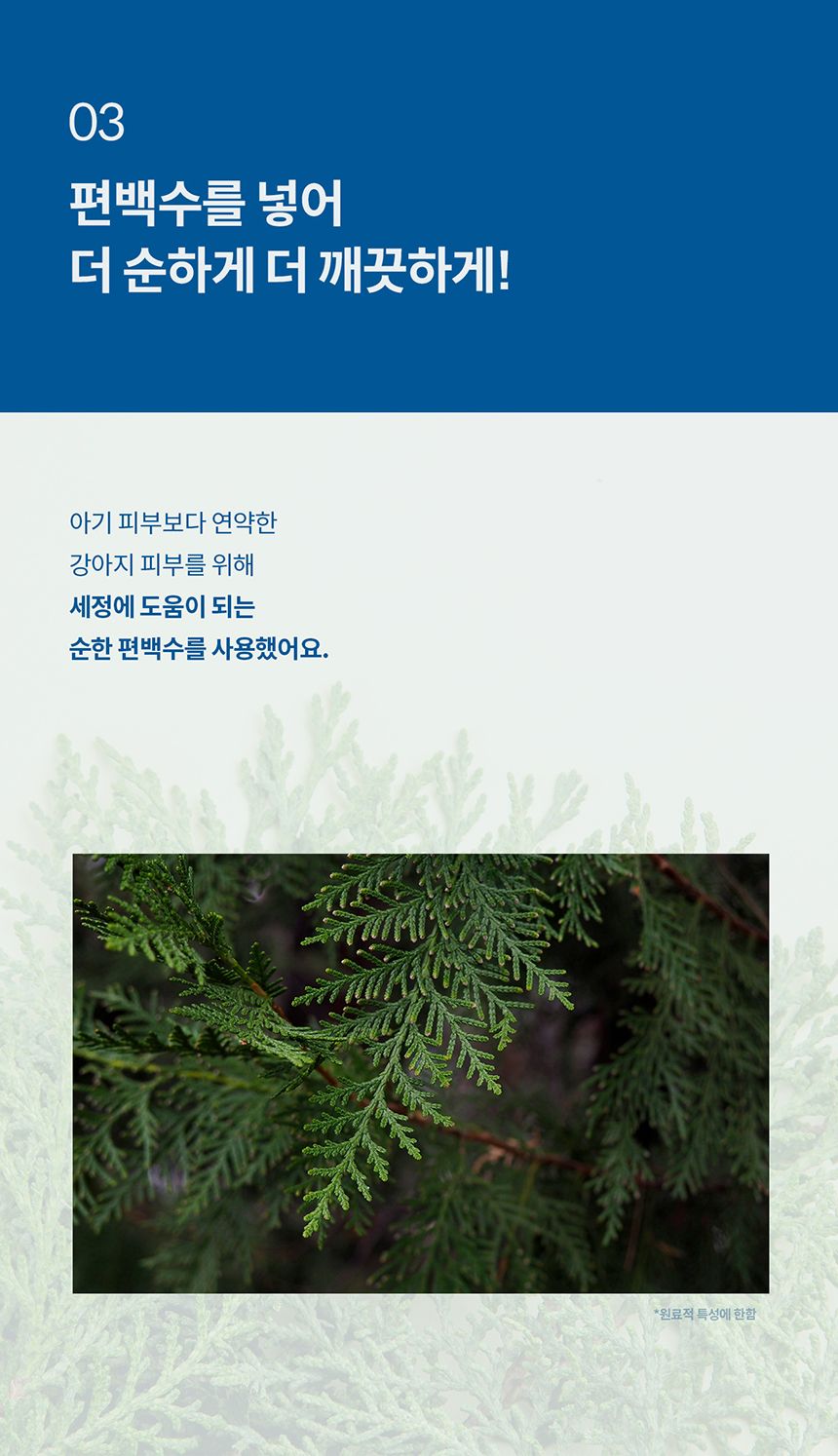 [체험단] [무료배송] 두잇 클린아이 핑거티슈 8번째