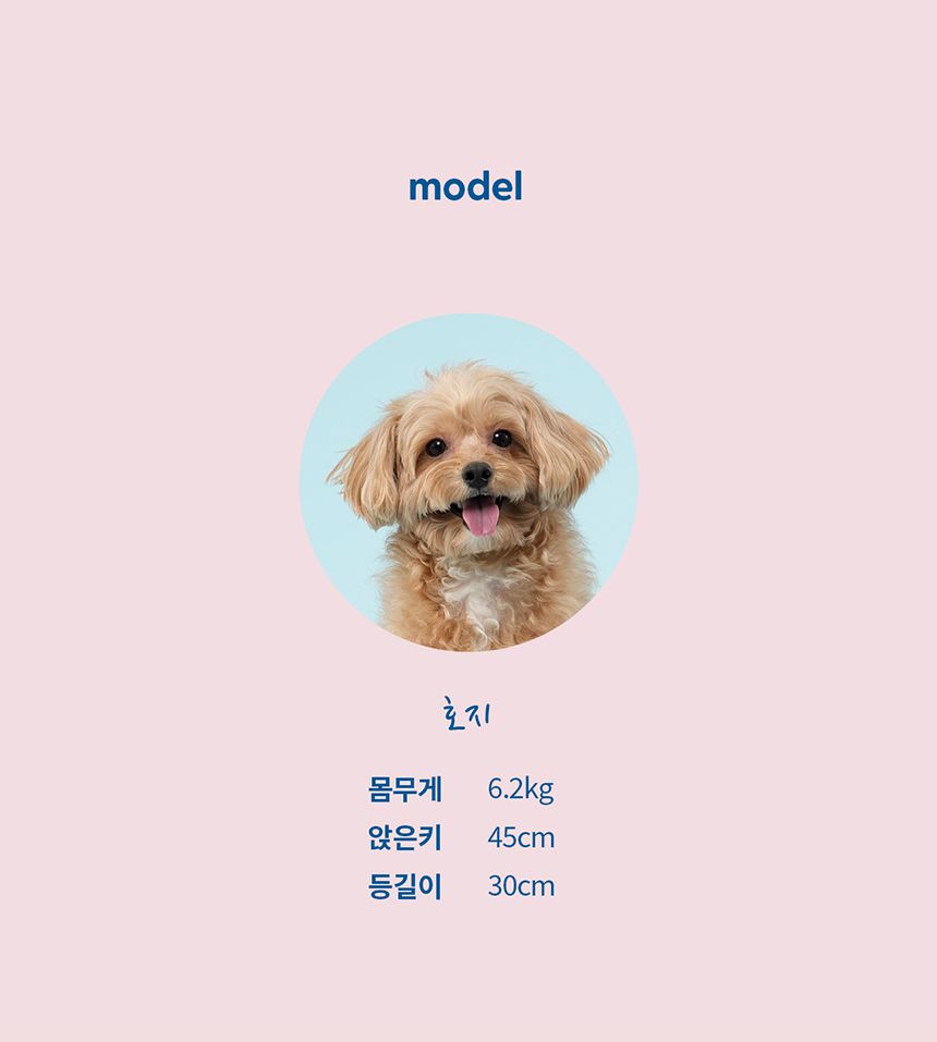 [체험단] [무료배송] 두잇 클린아이 핑거티슈 18번째