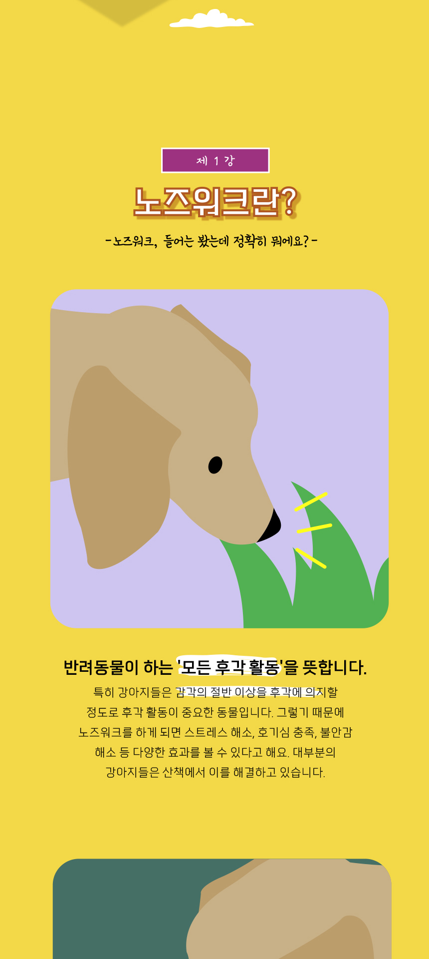 [무료배송] 애구애구 독 꿀바른 벌집 노즈워크 그린/레드 6번째