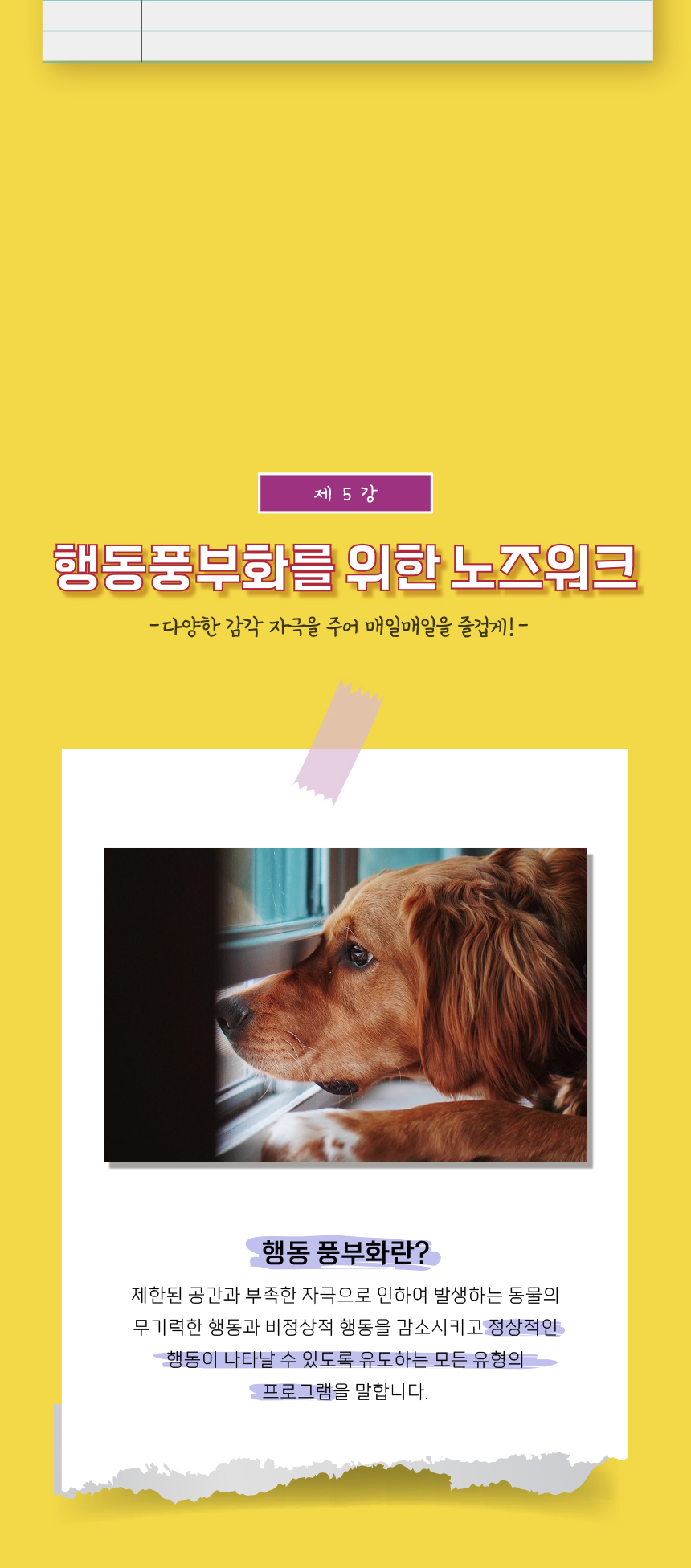 [무료배송] 애구애구 독 꿀바른 벌집 노즈워크 그린/레드 12번째