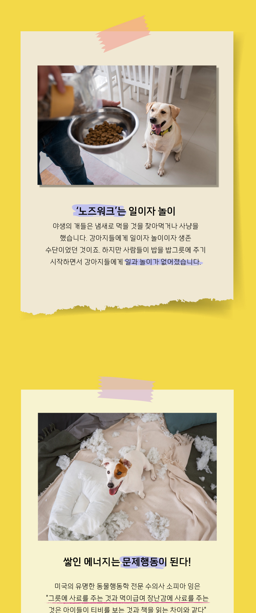 [무료배송] 애구애구 독 꿀바른 벌집 노즈워크 그린/레드 13번째