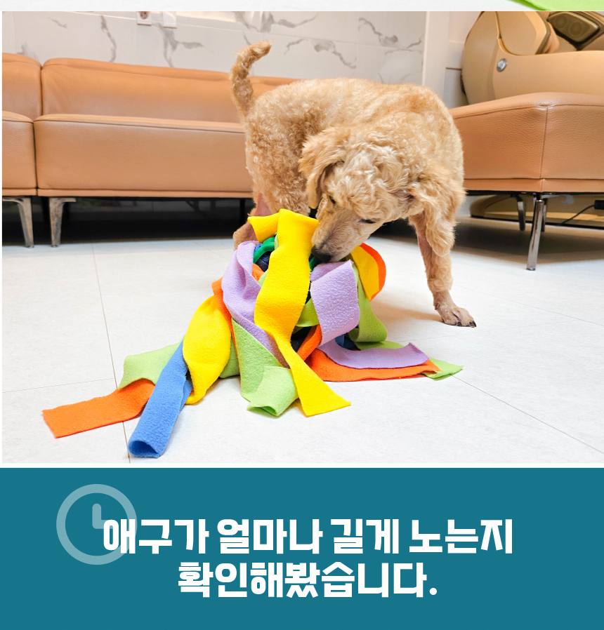 [무료배송] 애구애구 독 꿀바른 벌집 노즈워크 그린/레드 20번째