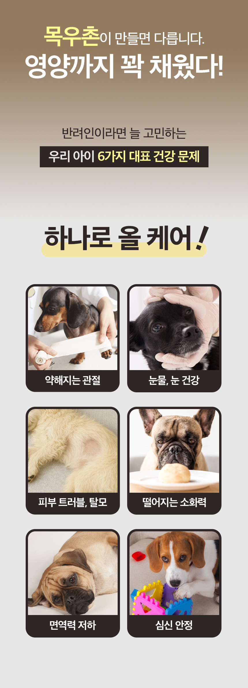 [X-MAS특가][무료배송] 목우촌 펫9단 독 기능성 소프트 사료 소고기 1kg 5번째