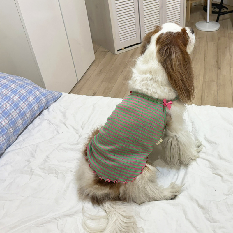 [무료배송] 해피댕댕 비비드리본나시 S - 2XL 8번째