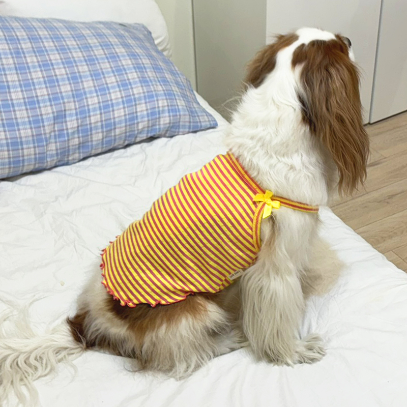 [무료배송] 해피댕댕 비비드리본나시 S - 2XL 4번째