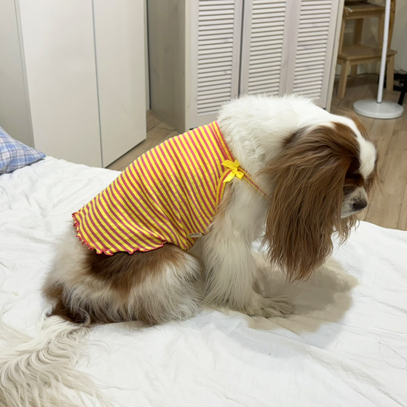 [무료배송] 해피댕댕 비비드리본나시 S - 2XL 5번째