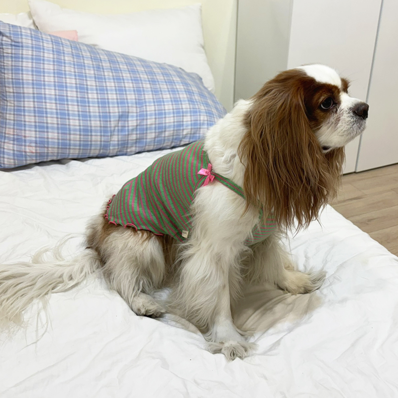 [무료배송] 해피댕댕 비비드리본나시 S - 2XL 7번째