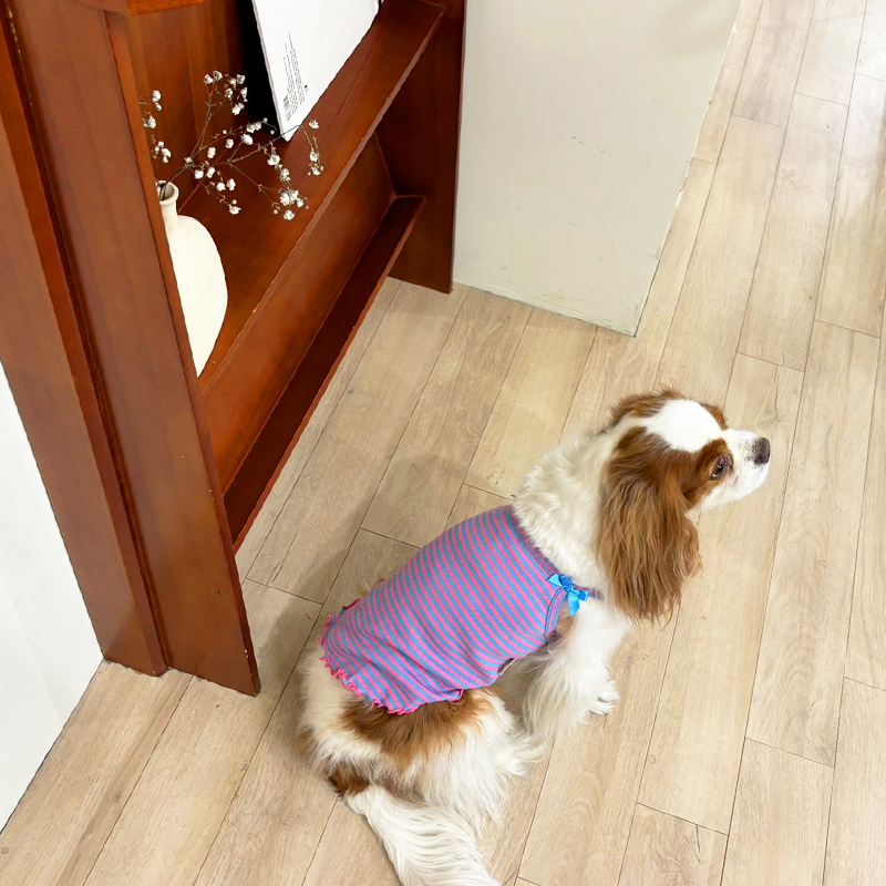 [무료배송] 해피댕댕 비비드리본나시 S - 2XL 10번째