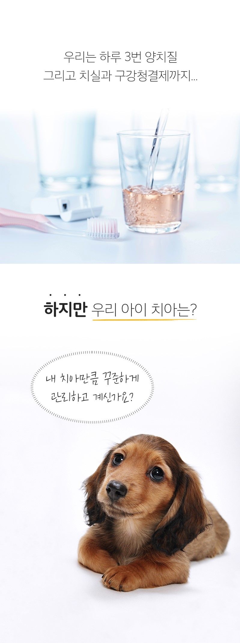 [무료배송][2개] 냥품멍품 건강한 치카치약 닭고기맛 40g 2번째