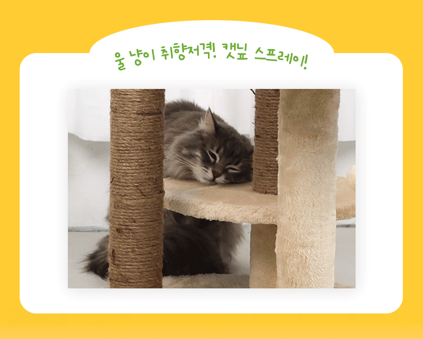 [NEW신상][무료배송] 펫토리아 고양이 장난감 캣닢 뽕파티 스프레이 50ml 16번째
