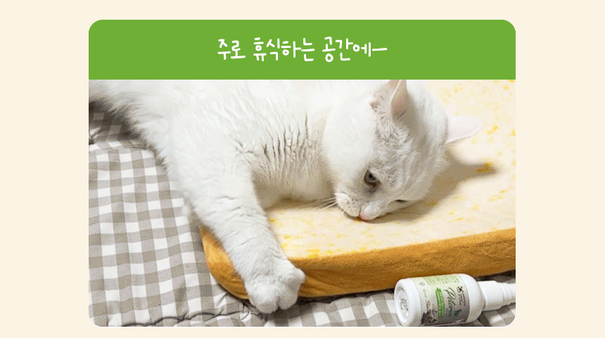 [NEW신상][무료배송] 펫토리아 고양이 장난감 캣닢 뽕파티 스프레이 50ml 6번째