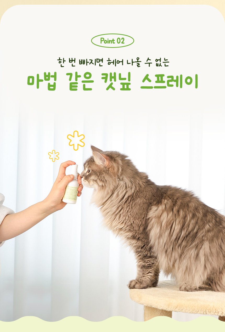 [NEW신상][무료배송] 펫토리아 고양이 장난감 캣닢 뽕파티 스프레이 50ml 12번째